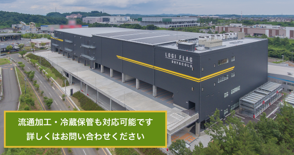 X NETWORK株式会社の事例3