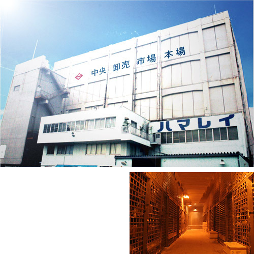 ハマレイ 本場事業所 の画像